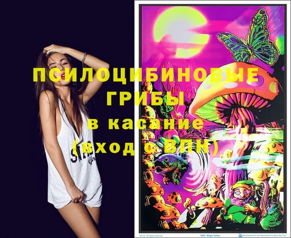 гидропоника Абаза
