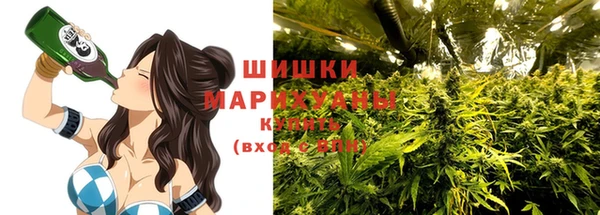 гидропоника Абаза