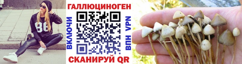 наркота  Ангарск  Галлюциногенные грибы Cubensis 